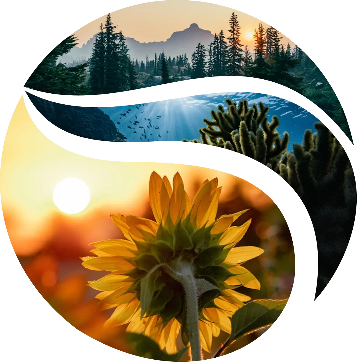 Advancing Interdisciplinary Science, Understanding, and Stewardship of Renewable Natural Resources